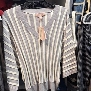 Philosophy Women's V-Neck Striped Sweater in Gray and Cream